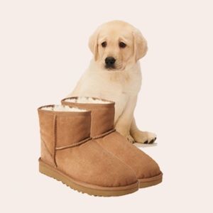 UGG Mini Bailey Button Boots FREE CLEANER W/Purch